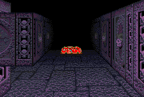 bcdfy — level 5 (violet) — a floor item (map bcdff @ 38,4 facing W)